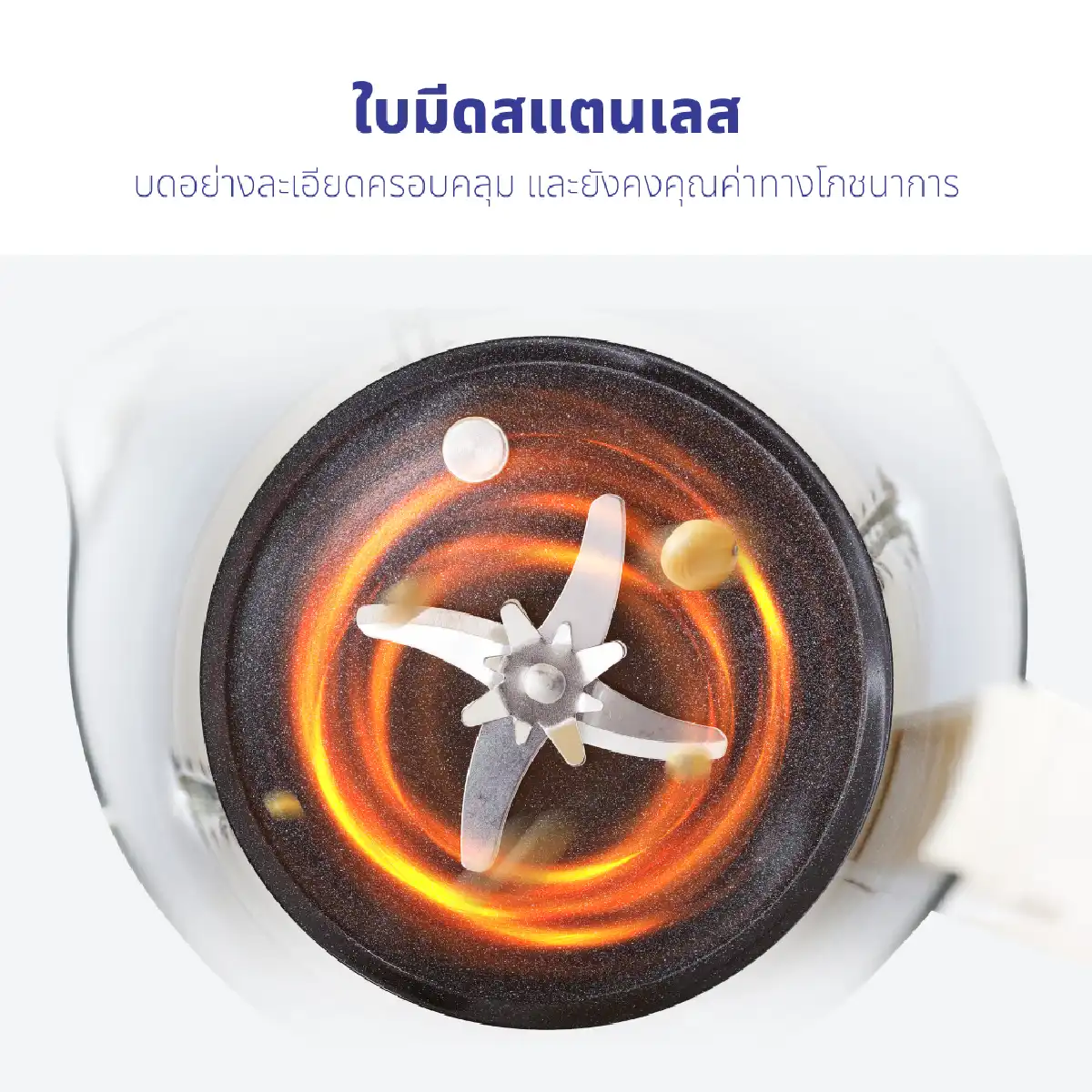 เครื่องปั่นน้ำธัญพืช | รุ่น BL-005 - Image 16