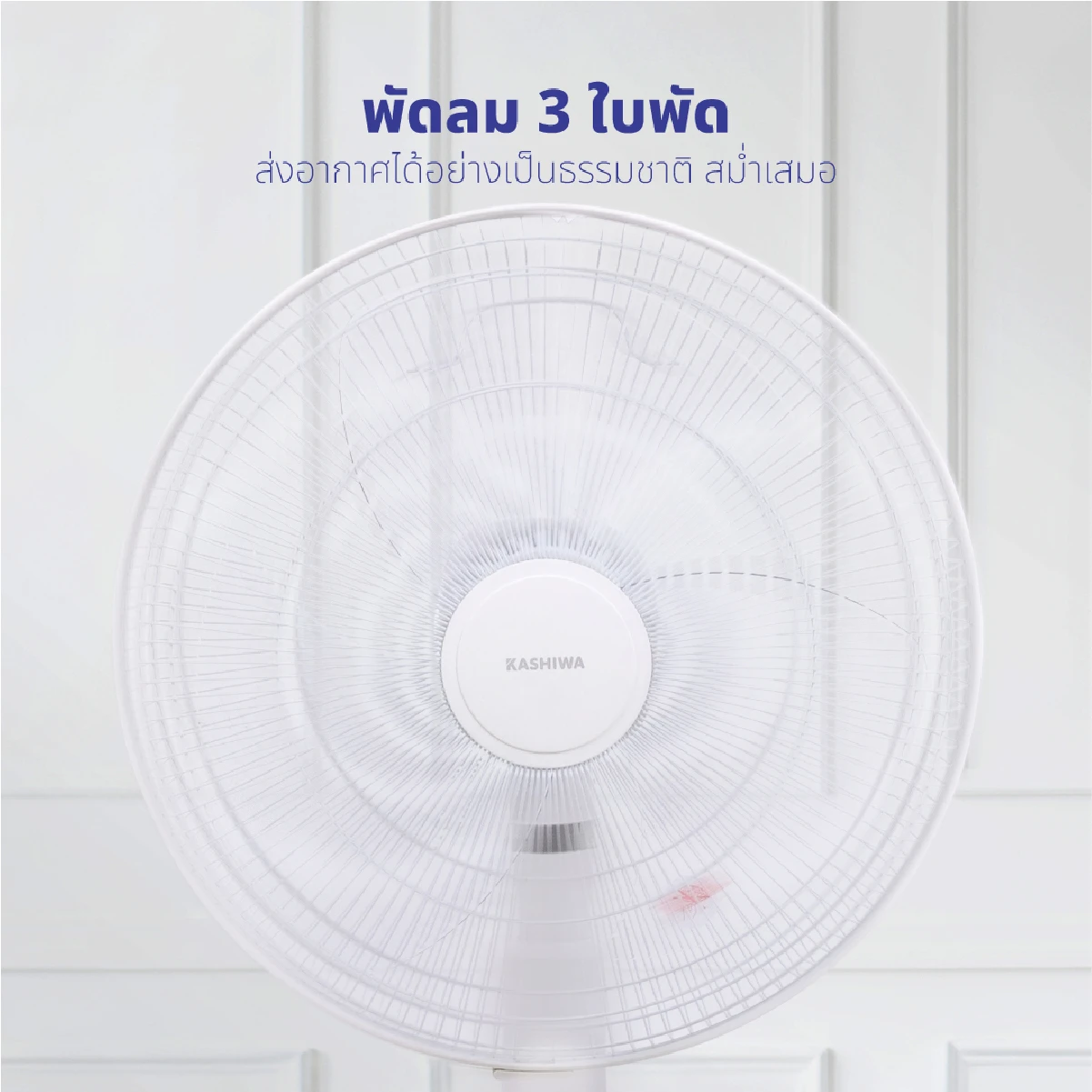 พัดลมตั้งพื้น ขนาด 16 นิ้ว | รุ่น FS-2201 - Image 12